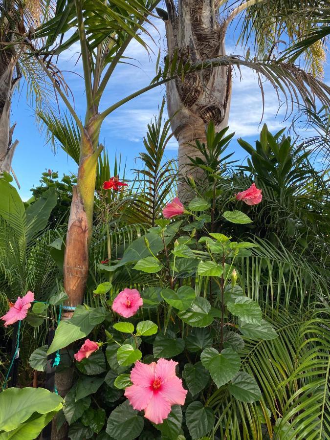 Palm Garden Papamoa Beach Paradise Εξωτερικό φωτογραφία